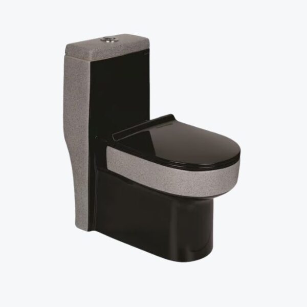 Western Toilet Installation/Replacement