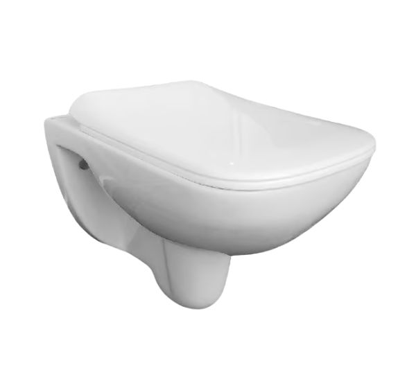 Western Toilet (Wall-Mounted) Installation/Replacement