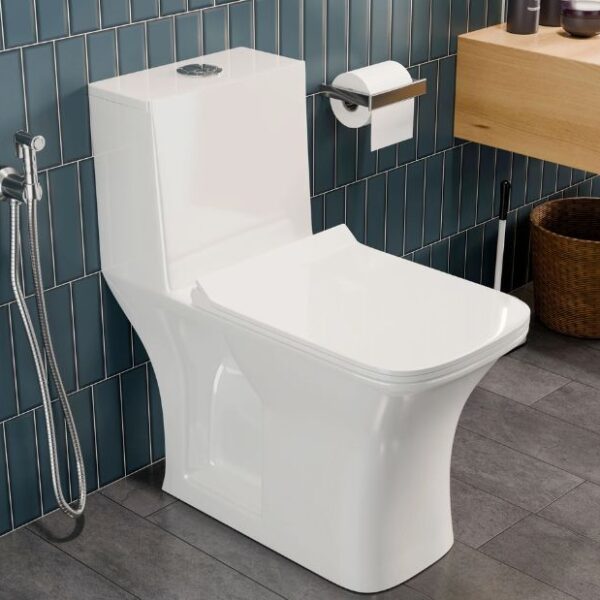 Western Toilet Repair